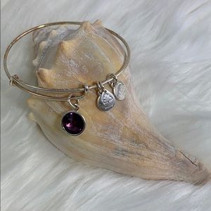 Alex & Ani Amethyst February Birth Stone Bracelet